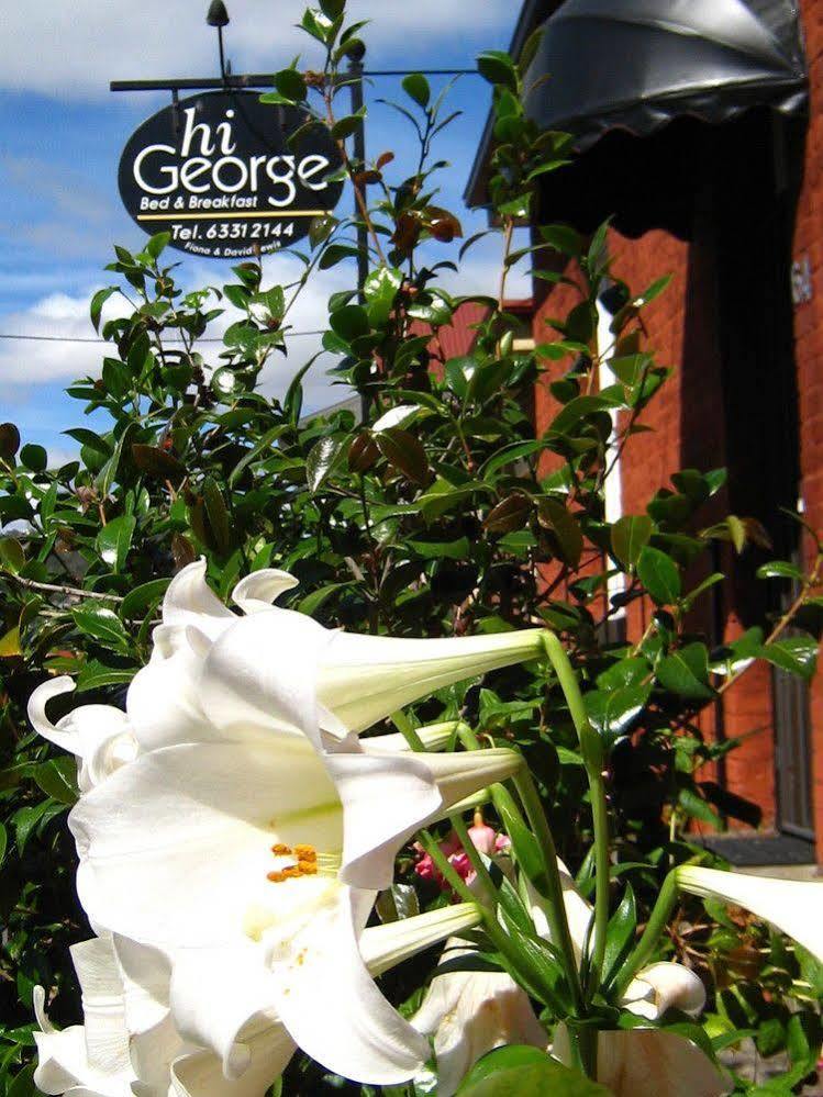Hi George B&B Launceston Ngoại thất bức ảnh